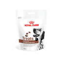 White background with a pouch of Royal Canin Canine Gastrointestinal treats with an English Setter dog pictured on the packet, text on the pouch says 'Royal Canin Treats, compatible with Gastrointestinal Diets.'