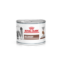 White background with a tin of Royal Canin Recovery Mousse for cats and dogs. A English Setter dog and a long haired tabby cat are pictured on the tin with text below reading 'Recovery, Ultra soft mousse'. 