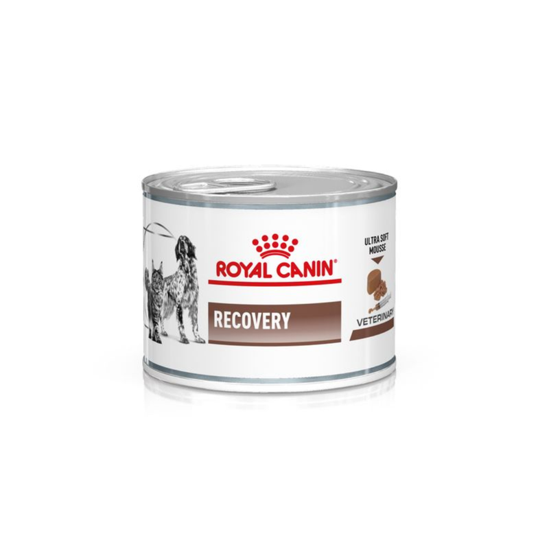 White background with a tin of Royal Canin Recovery Mousse for cats and dogs. A English Setter dog and a long haired tabby cat are pictured on the tin with text below reading 'Recovery, Ultra soft mousse'. 
