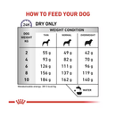 Royal Canin Dental for Small Dog feeding guide. 
