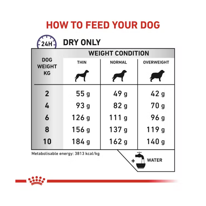 Royal Canin Dental for Small Dog feeding guide. 