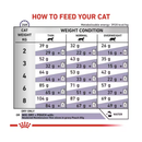 Royal Canin Adult Cat dry food feeding guide. 