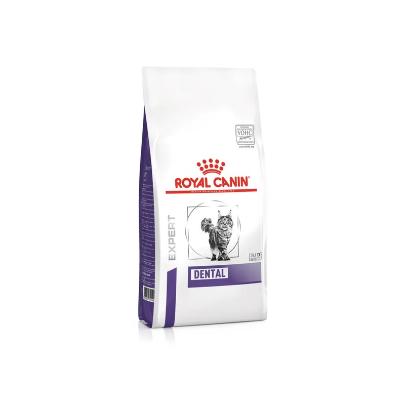 White background with a white bag of Royal Canin Dental for cats. Pictured on the bag is a long haired grey tabby cat. 
