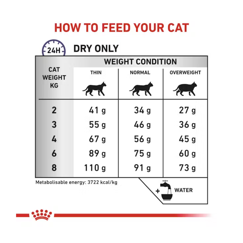 Royal Canin Dental for cats feeding guide. 