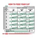 Royal Canin Feline Diabetic wet food feeding guide. 