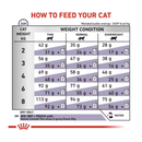 Royal Canin Mature Cat dry food feeding guide. 