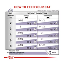 Royal Canin Feline Neutered Adult Maintenance wet food feeding guide. 