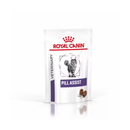 White background with a pouch of Feline Pill Assist treats with an long haired tabby cat pictured on the packet, text on the pouch says 'Royal Canin Veterinary, Pill Assist.'