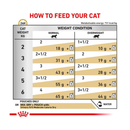 Royal Canin Feline Urinary S/O Moderate Calorie wet food feeding guide. 