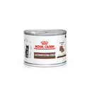 White background with a tin of Royal Canin Gastrointestinal for Kittens. A tabby kitten is pictured on the tin with text below reading 'Gastrointestinal, Kitten'.