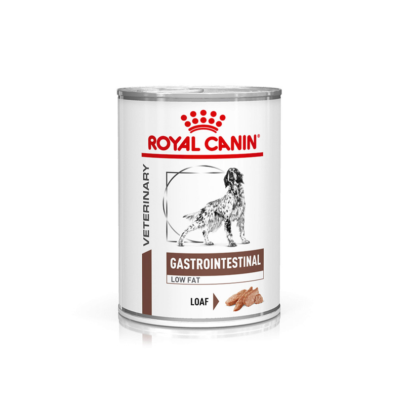 White background with a tin of Royal Canin Gastrointestinal Low Fat Loaf for dogs. A English Setter dog is pictured on the tin with text below reading 'Gastrointestinal, Low Fat, Loaf'. 