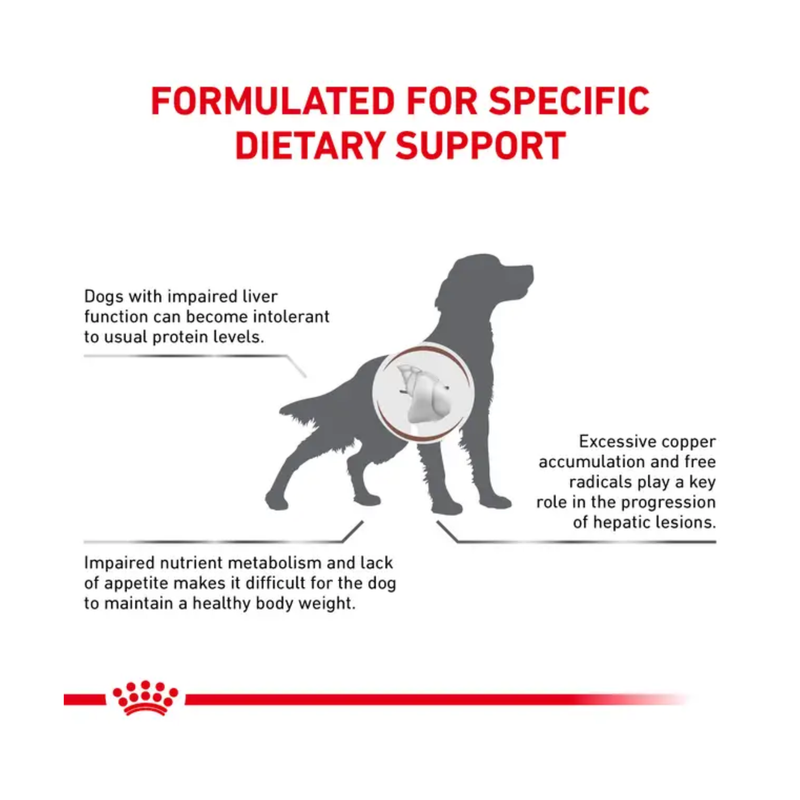 White background with an outline of a Setter dog standing in the centre. A picture of a liver is lay over the dog's chest with text 'Dogs with impaired liver function can become intolerant to usual protein levels, Excessive copper accumulation and free radicals play a key role in the progression of hepatic lesions, Impaired nutrient metabolism and lack of appetite makes it difficult for the dog to maintain a healthy body weight'. 