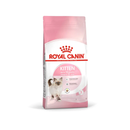 White background with a pink bag of Royal Canin Kitten. Pictured on the bag is a Ragdoll kitten, text on the bag states 'Upto 12 months'. 