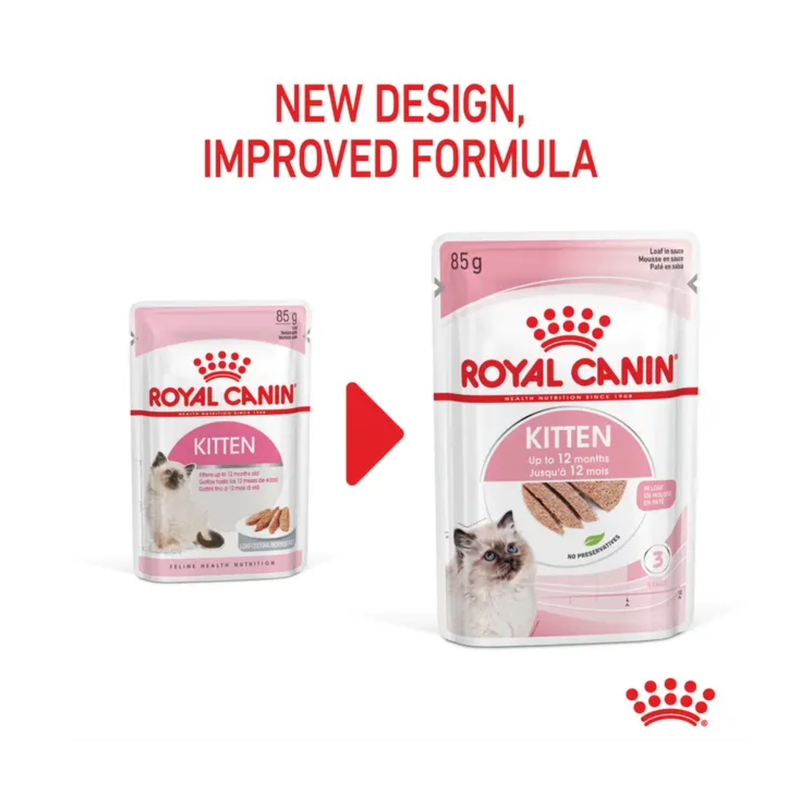 White background with a picture of the old style of Royal Canin kitten in loaf wet food, with new design also shown. 