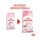 White background with a picture of the old style of Royal Canin Kitten dry food, with new design also shown. 