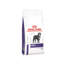White background with a bag of Royal Canin Large Adult dry dog food with a Burnese Mountain dog pictured on the packet, text on the pouch says 'Royal Canin Expert, Adult. Large Dogs'. 