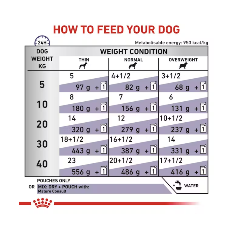 Royal Canin Mature wet dog food feeding guide.
