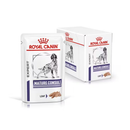 White background with a box of wet dog food pouches with an English Setter dog pictured on the box, text on the box says 'Royal Canin Expert, Mature, Loaf' In the foreground is a pouch with the same text and style as the box. 