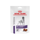 White background with a pouch of Canine Pill Assist treats with a English Setter dog pictured on the packet, text on the pouch says 'Royal Canin Veterinary, Pill Assist. Medium/Large Dog'