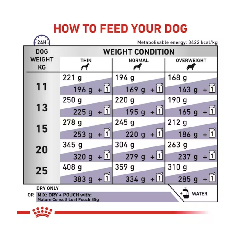 Royal Canin Medium Mature dog dry food feeding guide.
