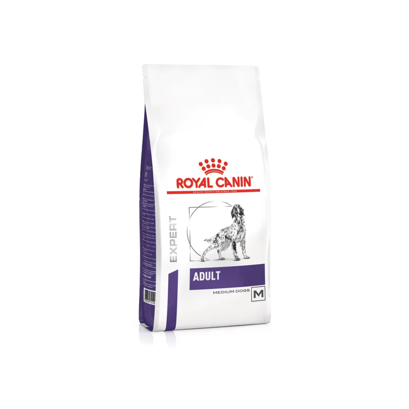 White background with a bag of Royal Canin Medium Adult dry dog food with a English Setter dog pictured on the packet, text on the pouch says 'Royal Canin Expert, Adult. Medium Dogs'. 