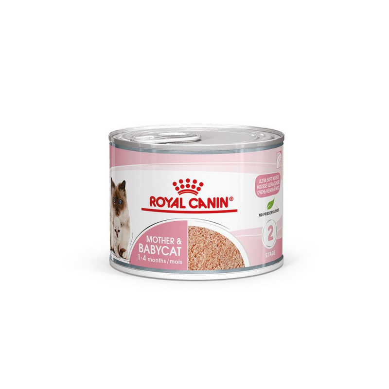 White background with a tin of Royal Canin Mother & Babycat Mousse. Pictured on the tin is a Ragdoll cat and a kitten, text on the tin states '1-4months'. 