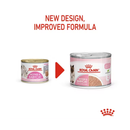 White background with a picture of the old style of Royal Canin Mother & Babycat wet food, with new design also shown. 