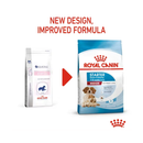 White background with a picture of the old style of Royal Canin Starter Mother & Babydog Medium dry food, with new design also shown. 