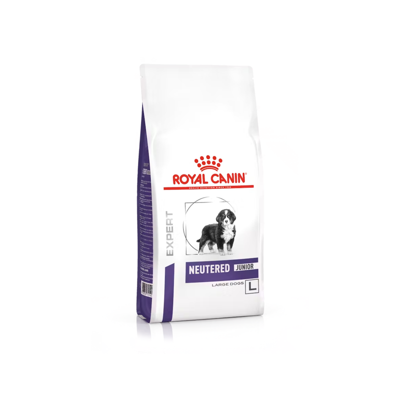 White background with a white bag of Royal Canin Neutered Junior Large dog food. Pictured on the bag is a Burnese Mountain dog puppy.