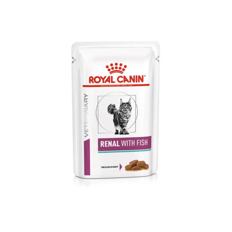 White background with a pouch of wet cat food with an long haired tabby cat pictured on the packet, text on the pouch says 'Royal Canin Veterinary, Renal with Fish, Thin slices in gravy.'