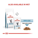 A bag of Royal Canin Skin & Coat dry food is pictured next to a sachet of Royal Canin Skin & Coat wet food. Text above states 'Also available in Wet'. 