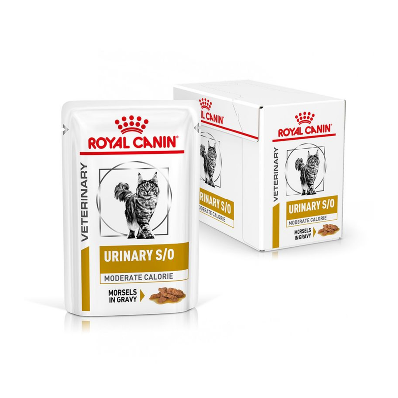 White background with a box of wet cat food pouches with an long haired tabby cat pictured on the box, text on the box says 'Royal Canin Veterinary, Urinary S/O, Moderate Calorie, Morsels in gravy' In the foreground is a pouch with the same text and style as the box. 