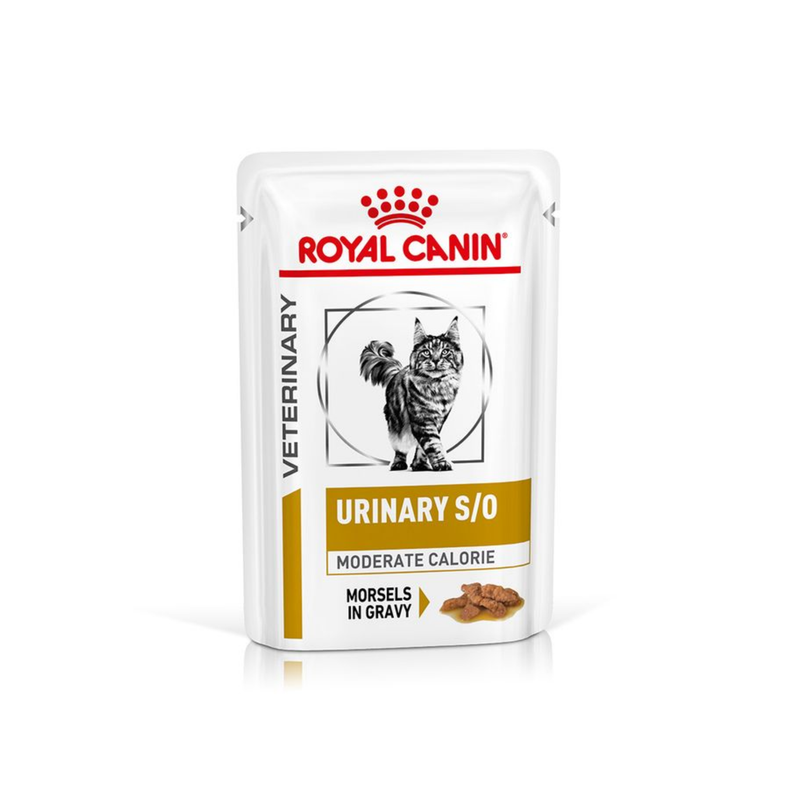 White background with a pouch of wet cat food with an long haired tabby cat pictured on the box, text on the box says 'Royal Canin Veterinary, Urinary S/O, Moderate Calorie, Morsels in Gravy.'