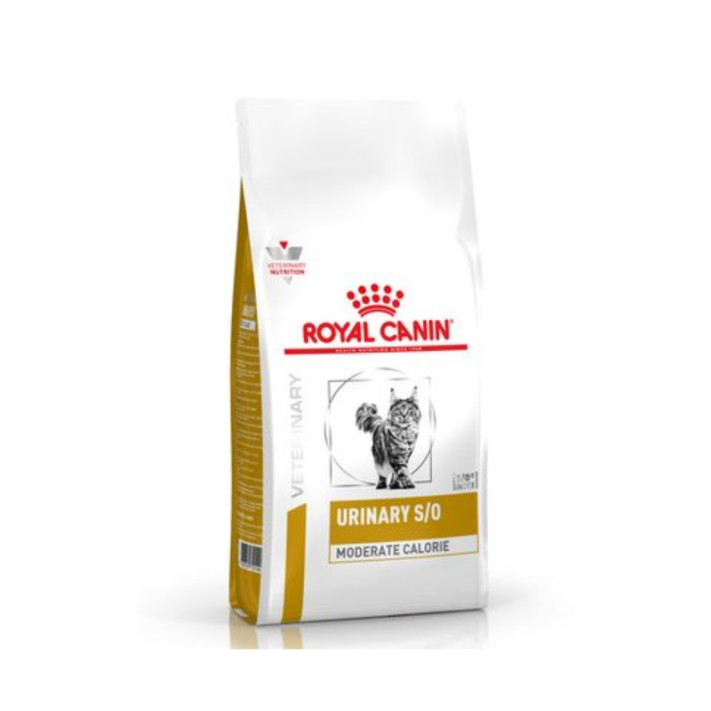 White background with a white bag of Royal Canin Urinary S/O Moderate Calorie for cats. Pictured on the bag is a Long haired tabby cat. 