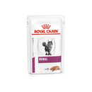 White background with a pouch of wet cat food with an long haired tabby cat pictured on the box, text on the box says 'Royal Canin Veterinary, Renal, Loaf'