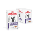 ROYAL CANIN® Feline Mature Balance Loaf 48x 85g