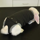 Kruuse BUSTER Body Suit For Rabbits