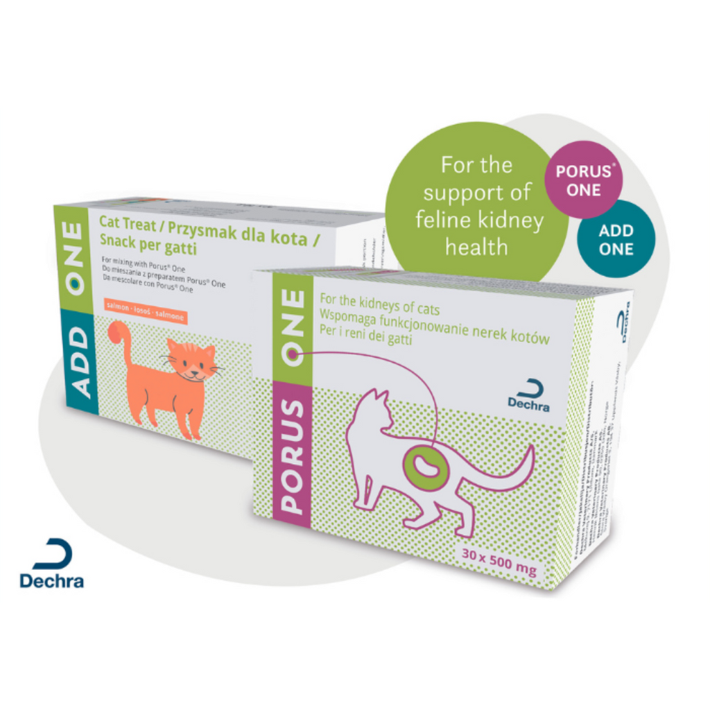 Porus One 500mg Sachet x 30