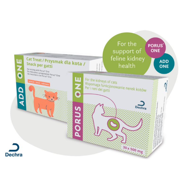 Kidney treats for cats best sale