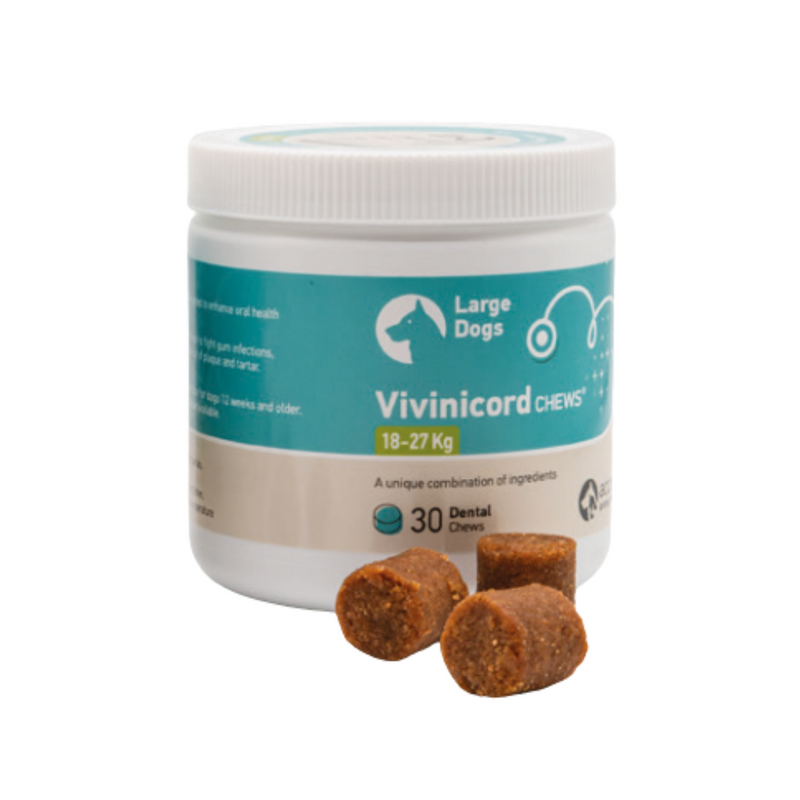 White background with a tub of Vivinicord Chews for 'Large Dogs 18-27g', '30 Dental chews' with 3 small dental chews pictured in the front of the tube. 