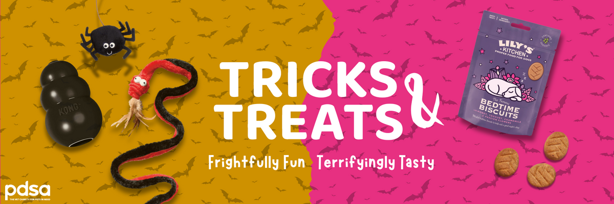 Halloween-themed banner with candy, a spider, and a snake on a pink and orange background.
