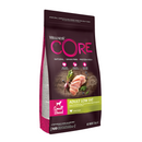 White background with a picture of a bag of Wellness CORE Low Fat Small Dog Food. On the bag is pictures of turkey fillets, blueberries, beets and spinach. The text on the bag 'Wellness CORE, Natural, Grain Free, Protein-Rich' and 'Adult Low Fat, Small breed, Turkey Recipe'.