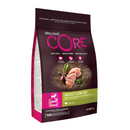 White background with a picture of a bag of Wellness CORE Low Fat Small Dog Food. On the bag is pictures of turkey fillets, blueberries, beets and spinach. The text on the bag 'Wellness CORE, Natural, Grain Free, Protein-Rich' and 'Adult Low Fat, Small breed, Turkey Recipe'.