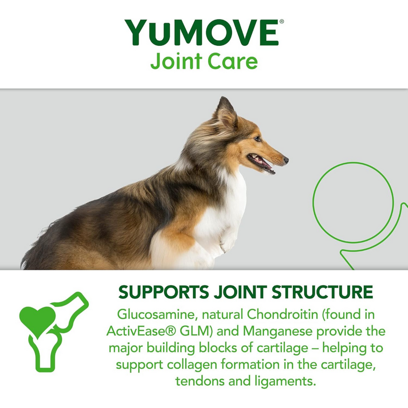 YuMove Joint Structure