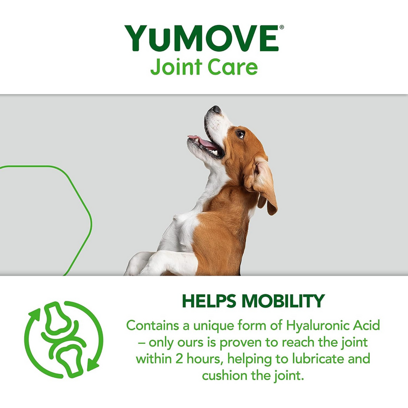 YuMove Helps Mobiliy