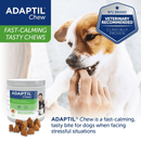 Dog eating Adaptil Chews