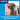 A dog calming product advertisement featuring a brown dog wearing a dark collar with floating sparkles, set against a bright blue background with the text 'ADAPTIL Calm' and 'Our Dog Appeasing Pheromone helps dogs feel calmer!'.