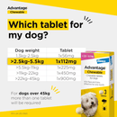 Advantage Chewable tablet packaging with dosage chart for dogs