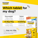 Advantage Chewable tablet packaging for dogs with dosage chart and box image.