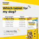 Advantage Chewable tablet packaging for dogs with dosage chart and Elanco branding.